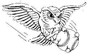 owl_baseball.gif (3673 bytes)